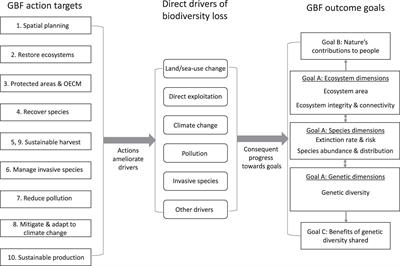 Mainstreaming the Ambition, Coherence, and Comprehensiveness of the Post-2020 Global Biodiversity Framework Into Conservation Policy